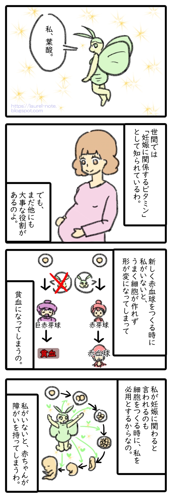 葉酸漫画(紹介と赤芽球)