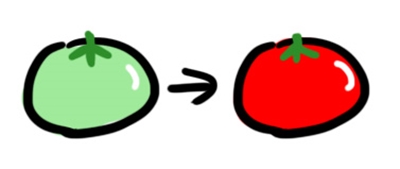 青いトマトと赤いトマト